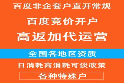 解析SEM托管公司经典案例：如何制定有效的广告策略